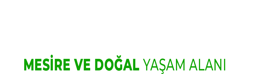 Yakaköy Mesire Alanı